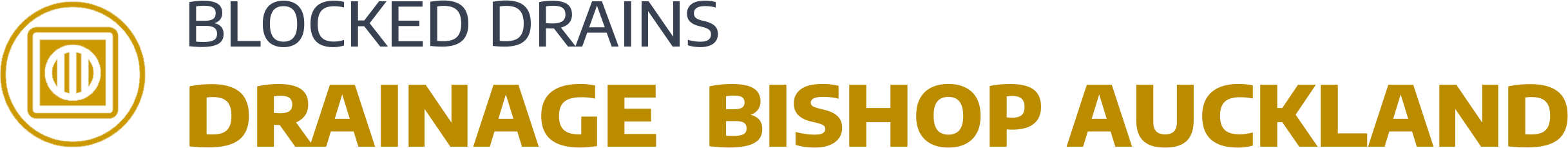 website logo